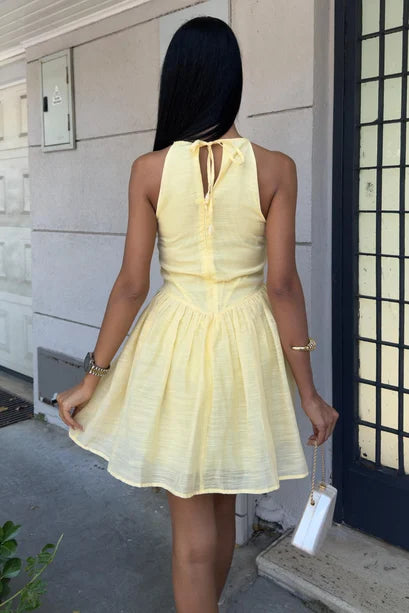 Galezzo Sleeveless Woven Mini Dress