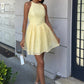 Galezzo Sleeveless Woven Mini Dress